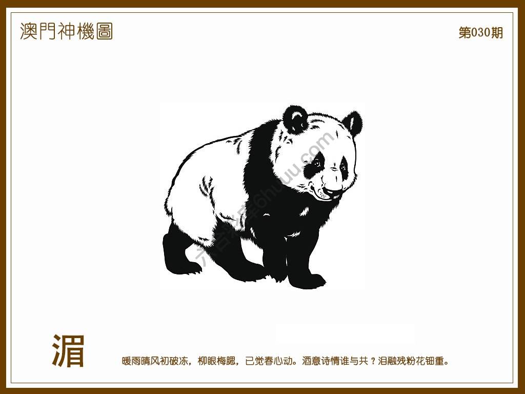 澳门神机图