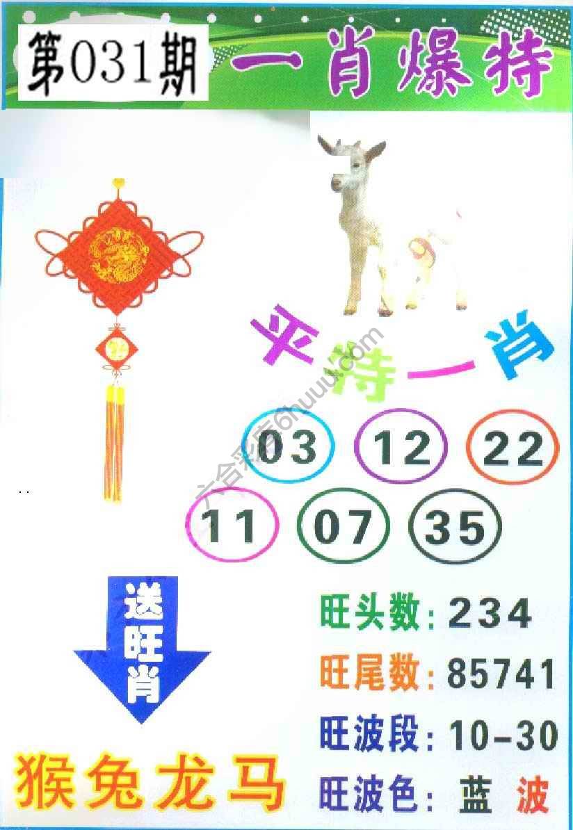 一肖爆特（新版）