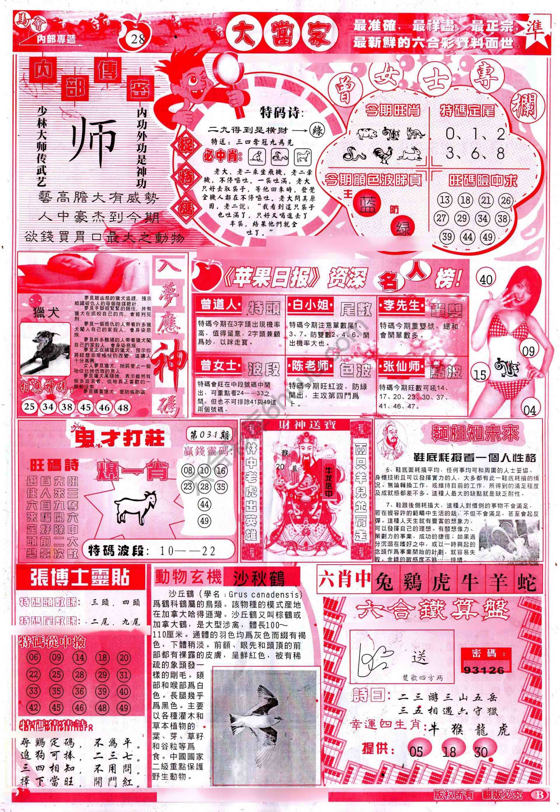 大当家